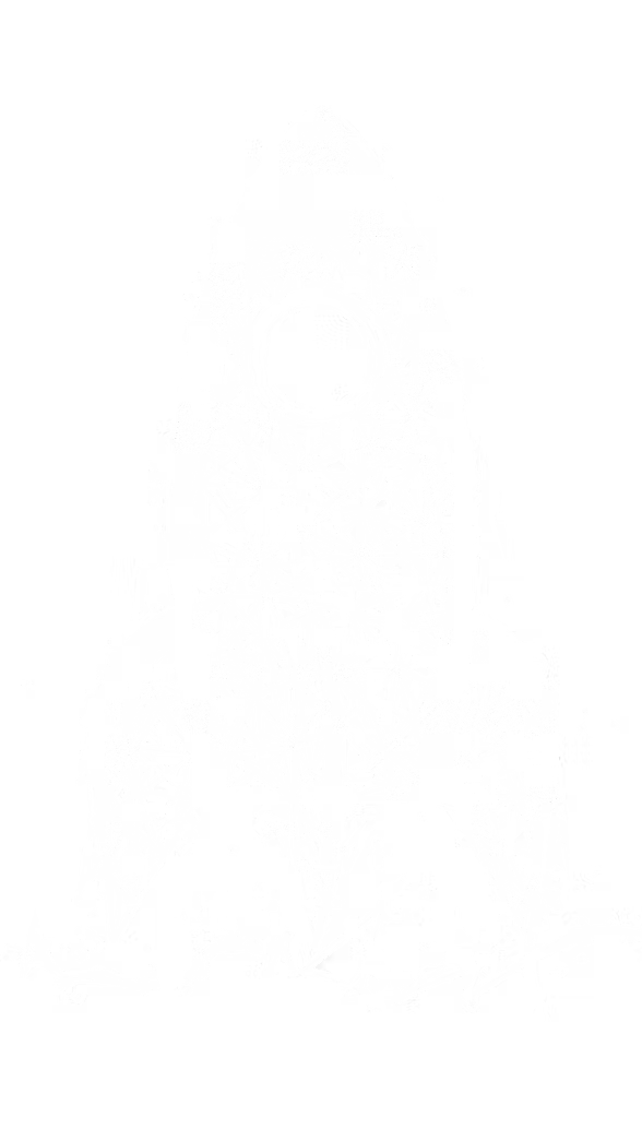 Rocket Growth Illustration